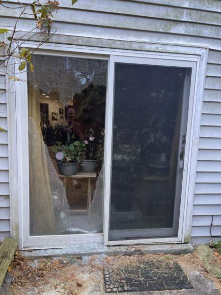 Sliding Door